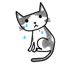 Blank look of cat face sticker #2896278