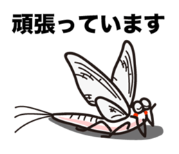 Every day of the Mayfly 2. sticker #2897677