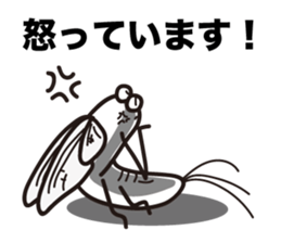 Every day of the Mayfly 2. sticker #2897682