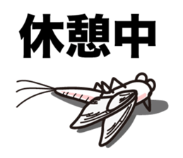 Every day of the Mayfly 2. sticker #2897692