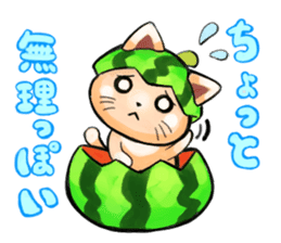 Suite cats sticker #2899861