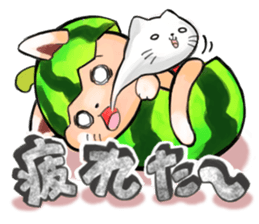 Suite cats sticker #2899873