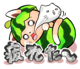 Suite cats sticker #2899873