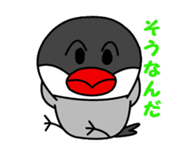 It is a paddybird and a word. sticker #2900920