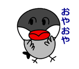 It is a paddybird and a word. sticker #2900921