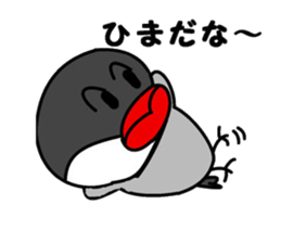 It is a paddybird and a word. sticker #2900925