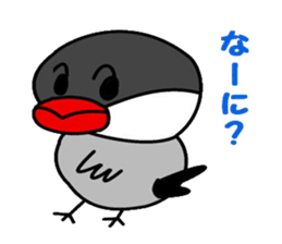 It is a paddybird and a word. sticker #2900928