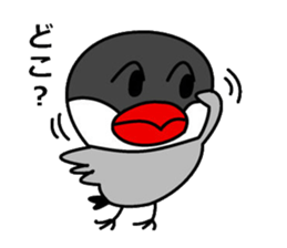 It is a paddybird and a word. sticker #2900935