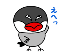 It is a paddybird and a word. sticker #2900936