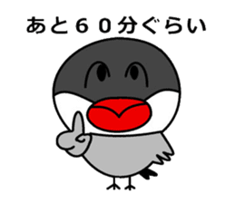 It is a paddybird and a word. sticker #2900940