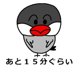 It is a paddybird and a word. sticker #2900941