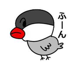 It is a paddybird and a word. sticker #2900945
