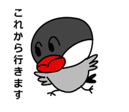 It is a paddybird and a word. sticker #2900947