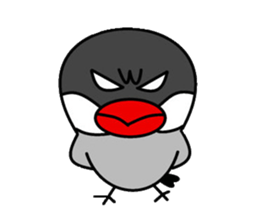 It is a paddybird and a word. sticker #2900952