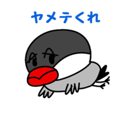 It is a paddybird and a word. sticker #2900953