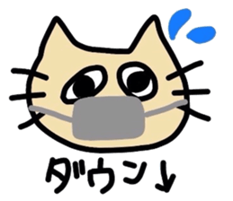 cat !message sticker #2901409