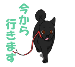 kuro and friends! sticker #2902038