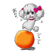 toy poodle(Mr. pet dog Leo of my home)2 sticker #2903195