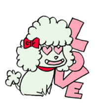 toy poodle(Mr. pet dog Leo of my home)2 sticker #2903205