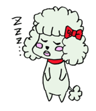 toy poodle(Mr. pet dog Leo of my home)2 sticker #2903206