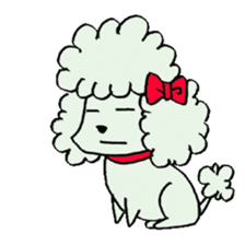 toy poodle(Mr. pet dog Leo of my home)2 sticker #2903207