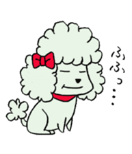 toy poodle(Mr. pet dog Leo of my home)2 sticker #2903208