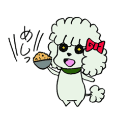 toy poodle(Mr. pet dog Leo of my home)2 sticker #2903217