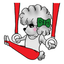 toy poodle(Mr. pet dog Leo of my home)2 sticker #2903221