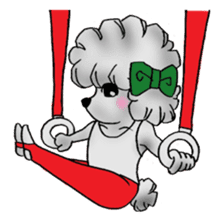 toy poodle(Mr. pet dog Leo of my home)2 sticker #2903221