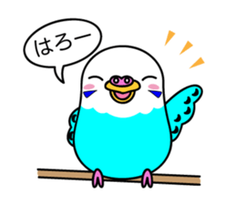 Chuppi of parakeet sticker #2904875