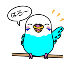 Chuppi of parakeet sticker #2904875