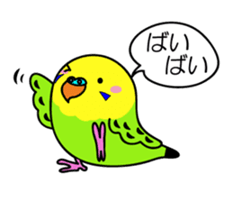 Chuppi of parakeet sticker #2904876