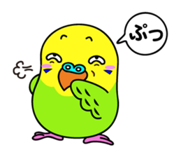 Chuppi of parakeet sticker #2904881