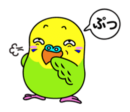 Chuppi of parakeet sticker #2904881