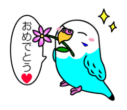 Chuppi of parakeet sticker #2904882