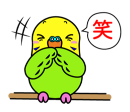 Chuppi of parakeet sticker #2904885