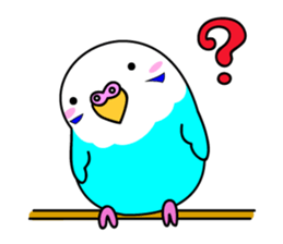 Chuppi of parakeet sticker #2904886