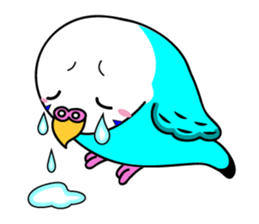 Chuppi of parakeet sticker #2904894