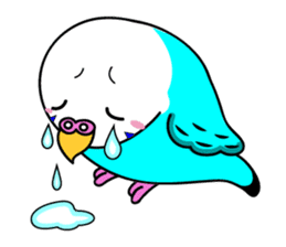 Chuppi of parakeet sticker #2904894