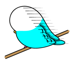 Chuppi of parakeet sticker #2904896