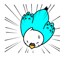 Chuppi of parakeet sticker #2904904
