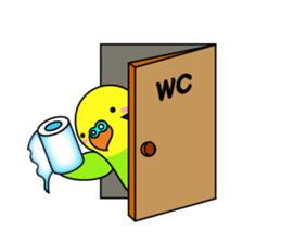 Chuppi of parakeet sticker #2904907