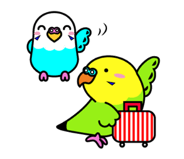 Chuppi of parakeet sticker #2904912