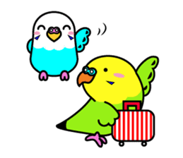 Chuppi of parakeet sticker #2904912