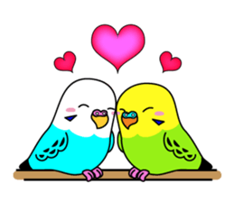 Chuppi of parakeet sticker #2904914