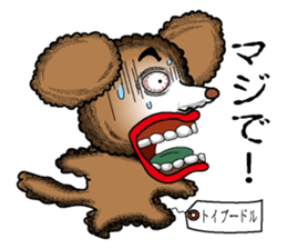 A clever dog Poodle sticker #2905909