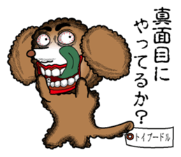 A clever dog Poodle sticker #2905916