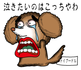 A clever dog Poodle sticker #2905929