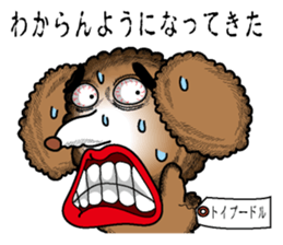 A clever dog Poodle sticker #2905938