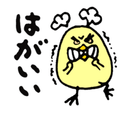KASSHI of a chick (Oita accent) sticker #2907815